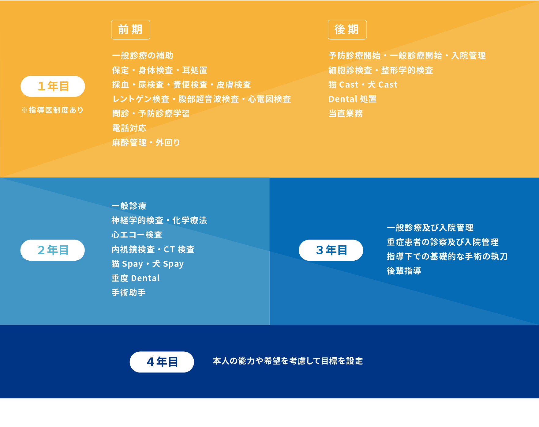 獣医師のキャリアプラン
